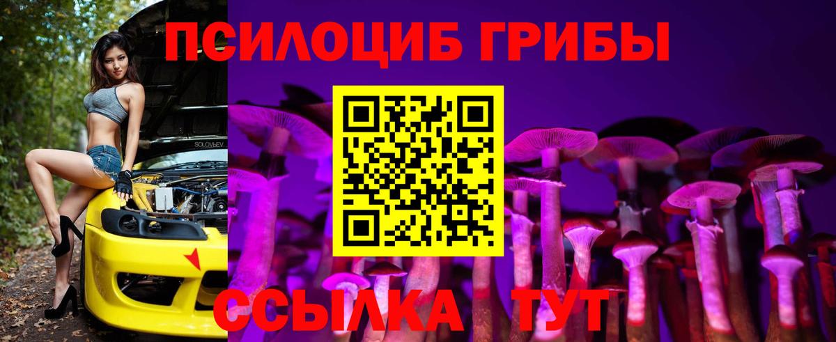 Псилоцибиновые грибы мицелий Советск